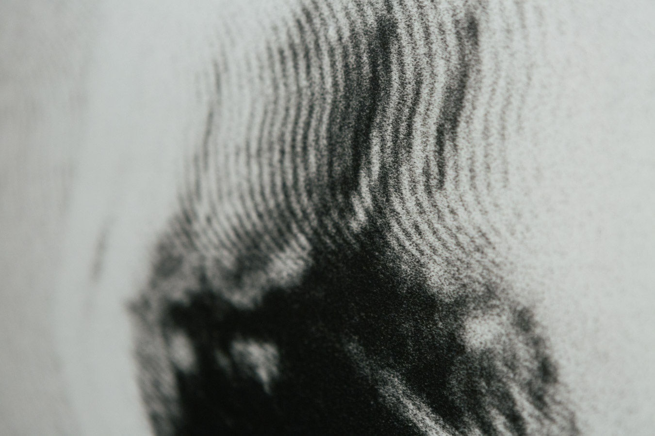 Igor Jesus - Animistic Glass, 2024, Galeria Fundação Amélia de Mello | Galeria Francisco Fino