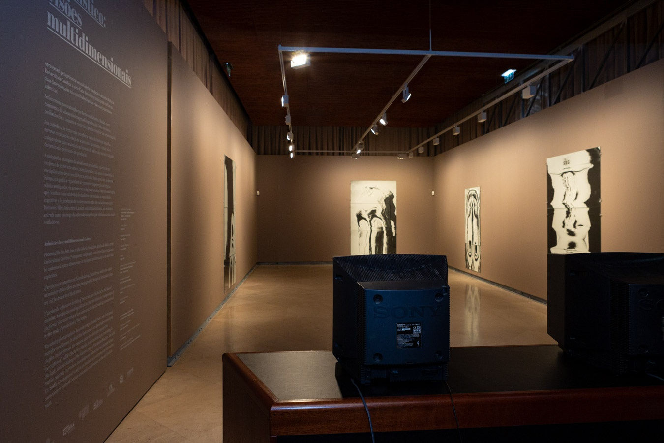 Igor Jesus - Animistic Glass, 2024, Galeria Fundação Amélia de Mello | Galeria Francisco Fino