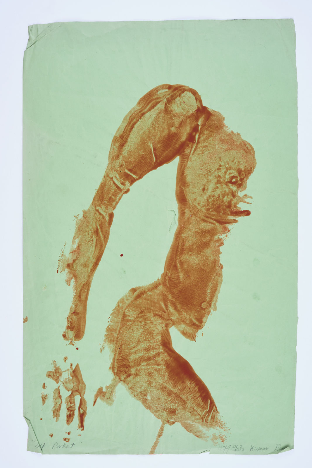 Blood orange body print, 1979