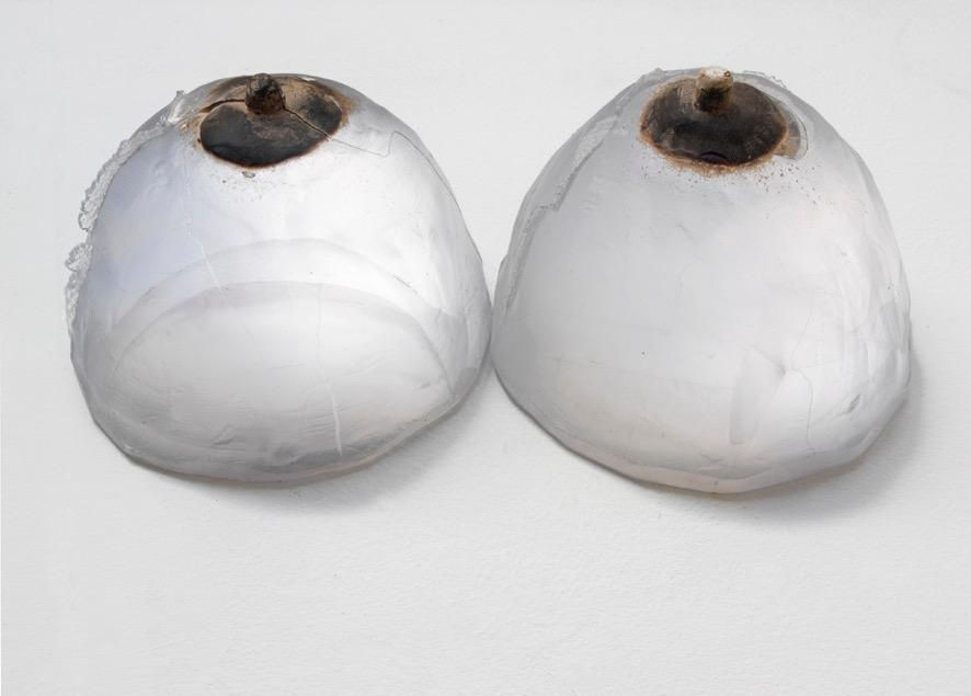 Glass Boobies, 2010