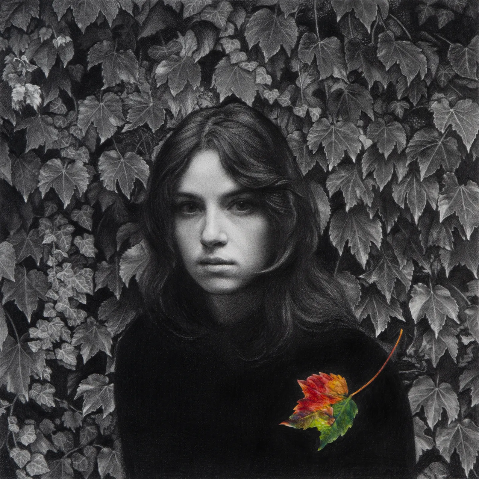 Hiroshi Hayakawa, Fall, 2024