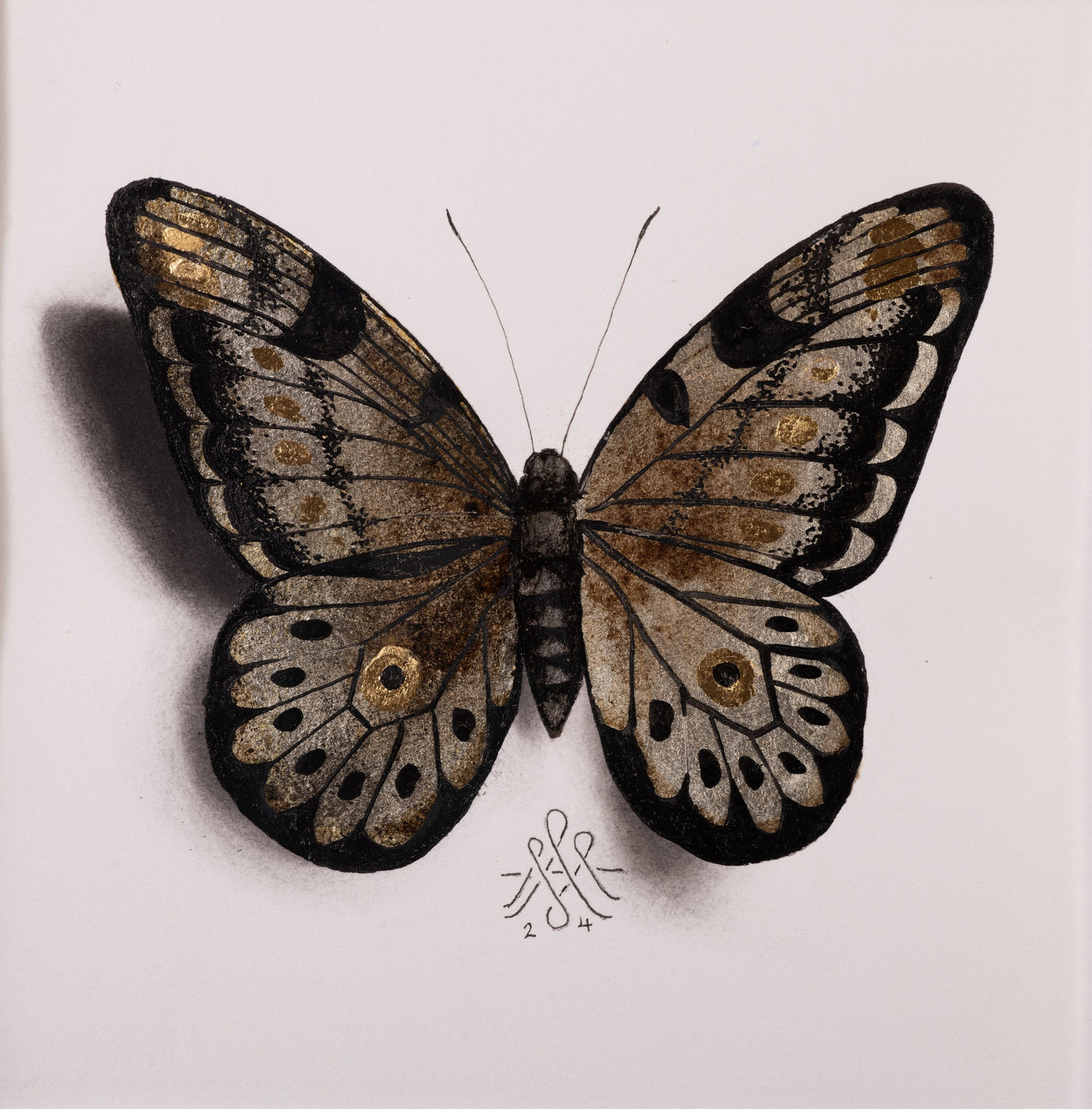 Alessandra Maria, Butterfly no. 80,  2024