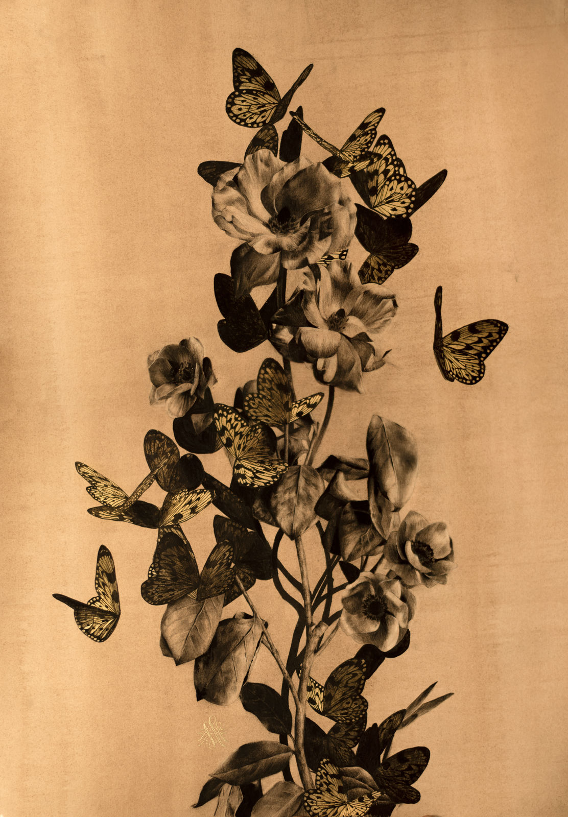 Alessandra Maria, Manifestation II,  2022