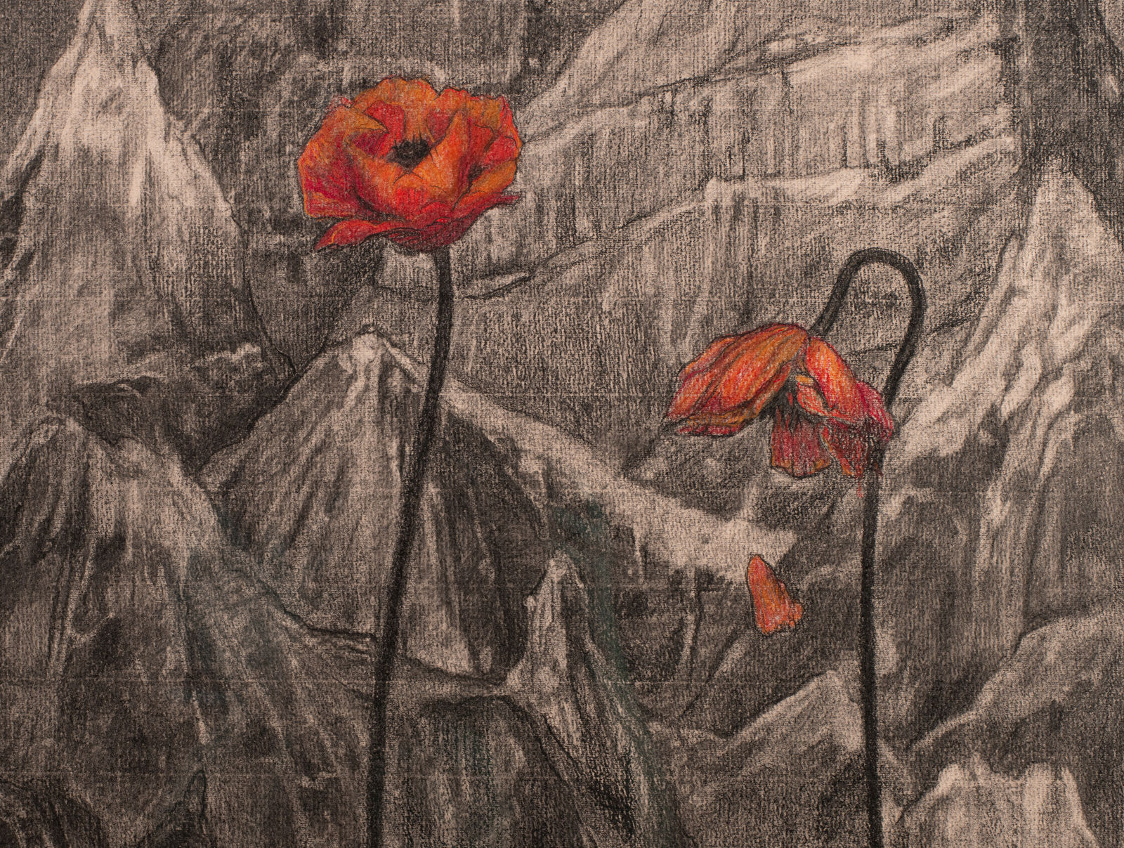 Gail Potocki, Oblivion