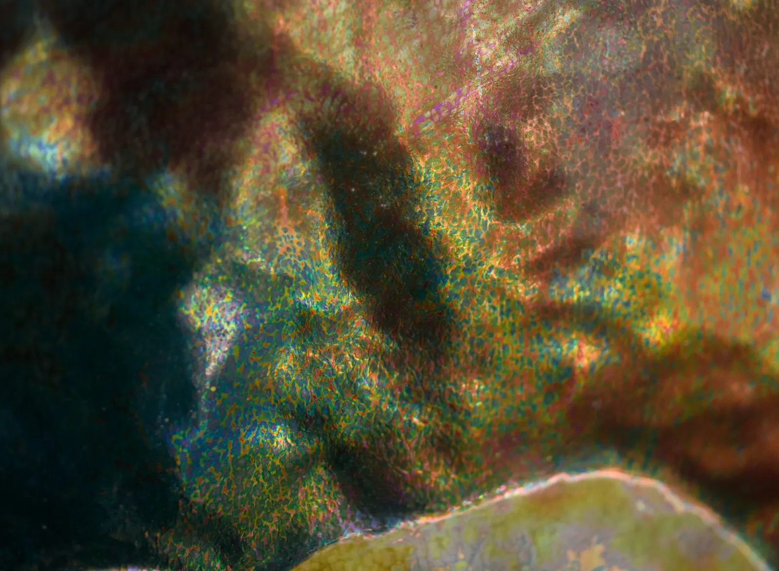 Massier, Midnight Mushroom Plaque,  c. 1900