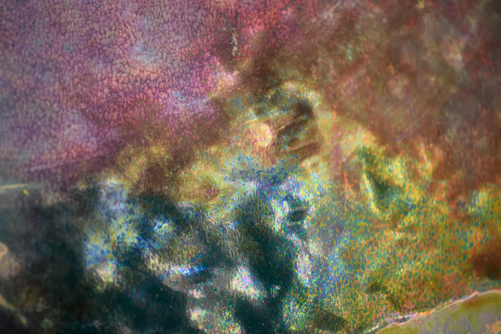 Massier, Midnight Mushroom Plaque,  c. 1900