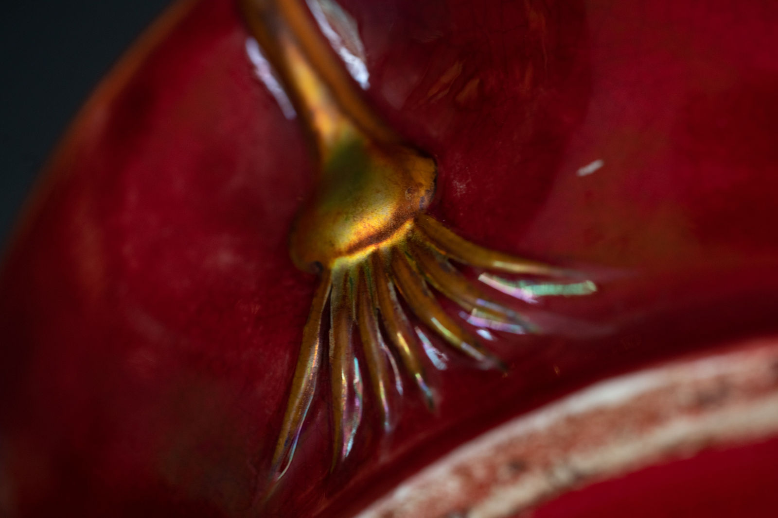 Zsolnay Pecs, Vase with Crocus,  c. 1904