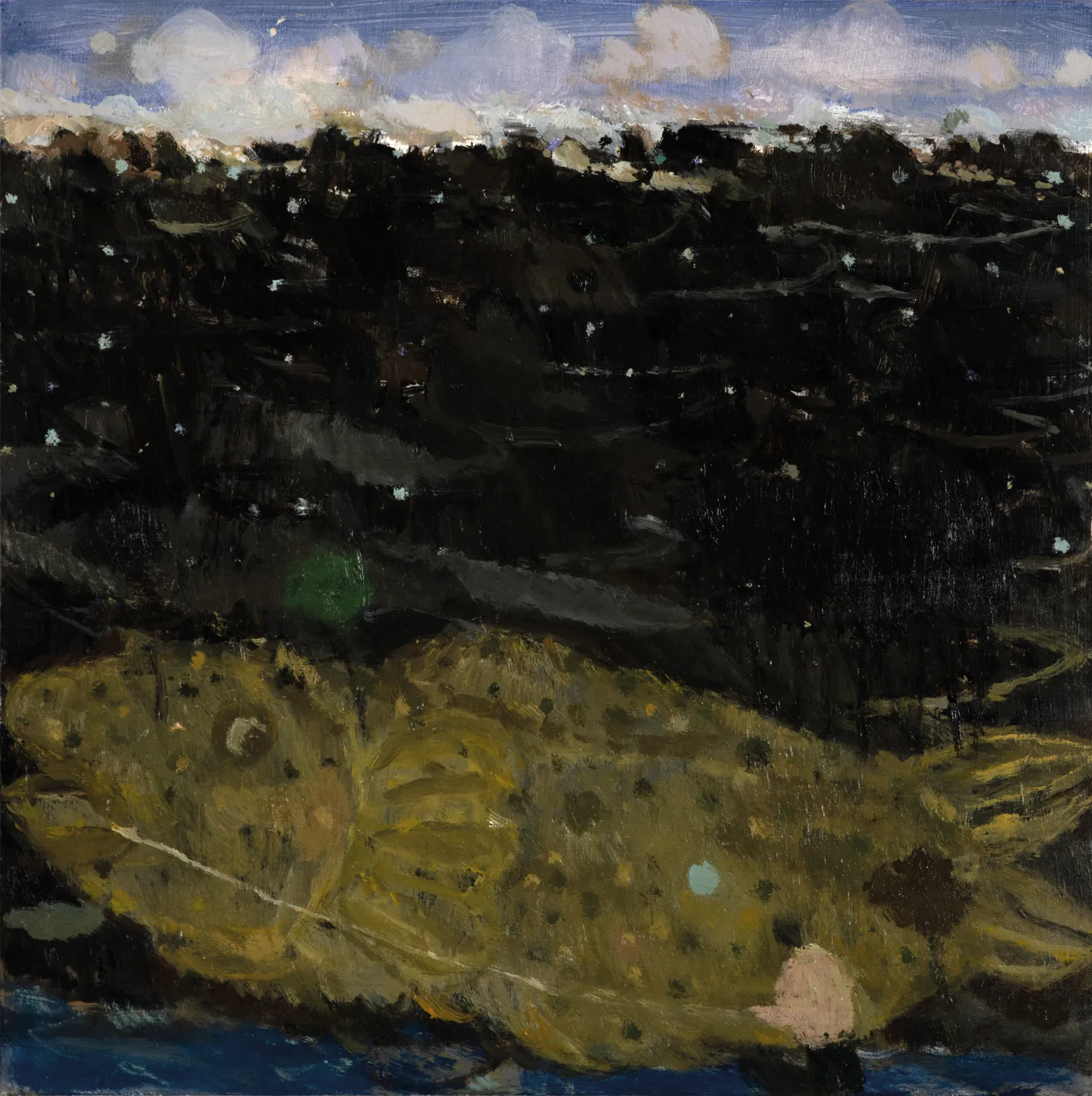 Joe Fan, RSA, Night Fishing