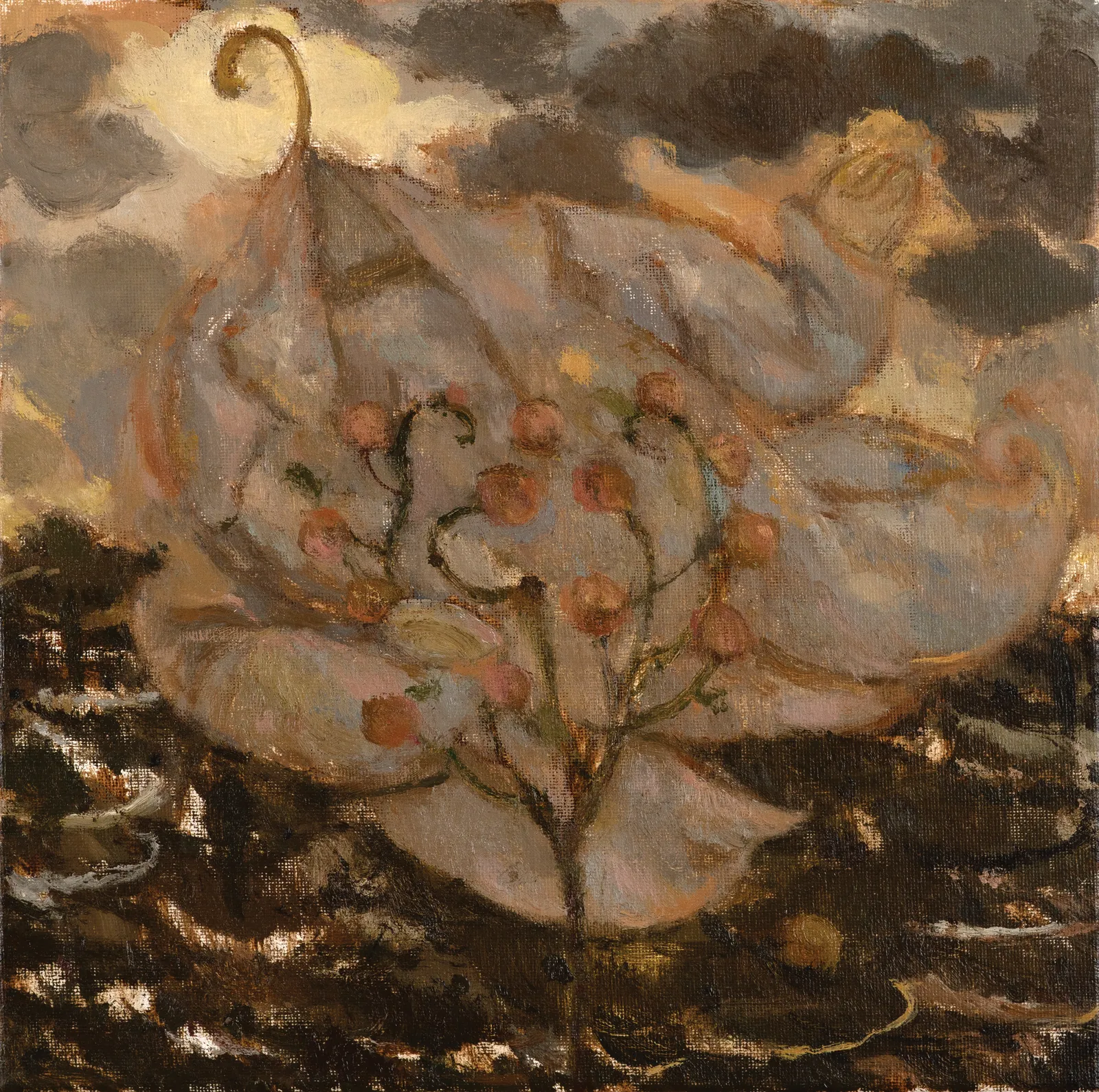 Joe Fan, RSA, Memories of a Brilliant jacket