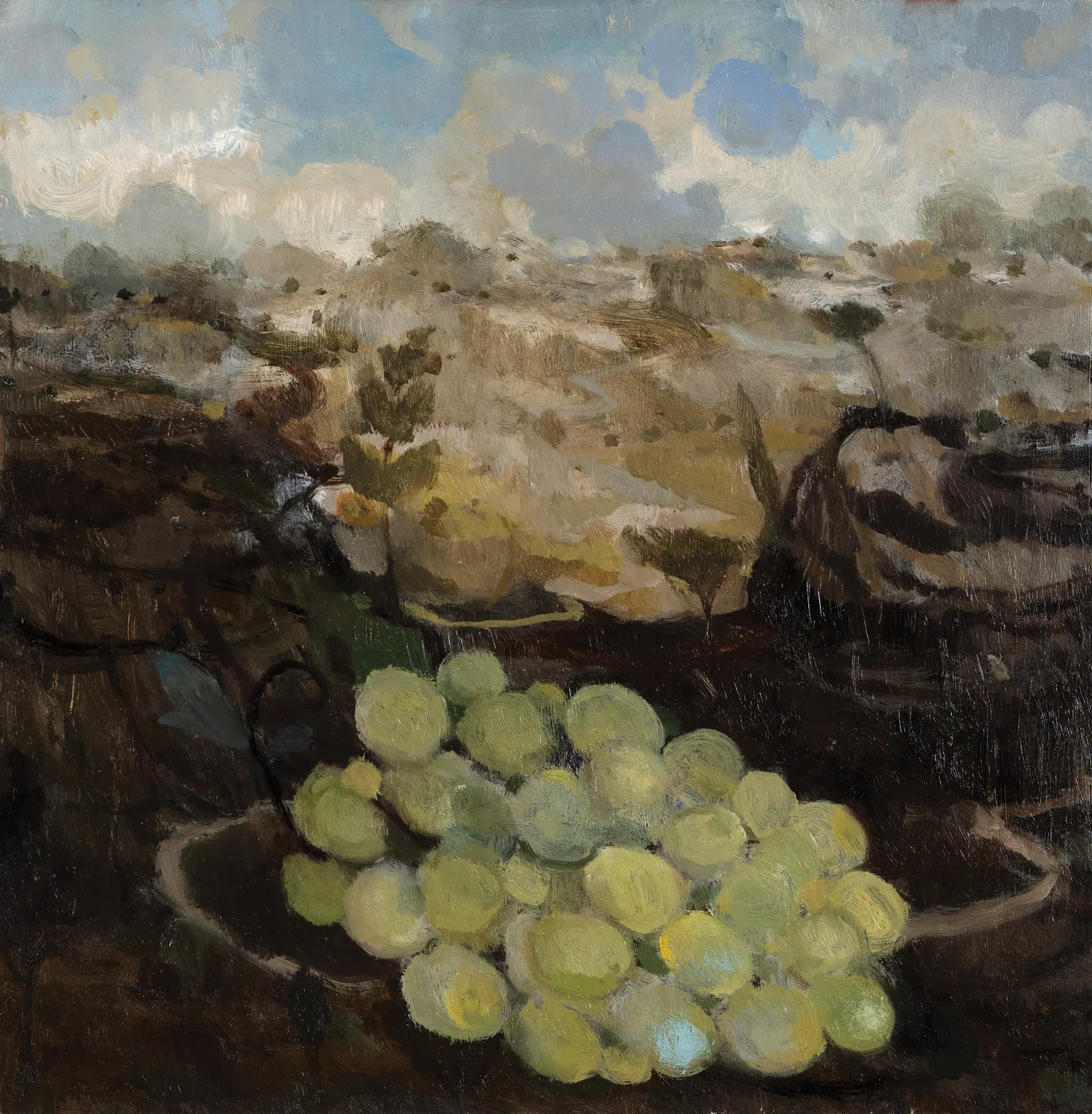 Joe Fan, RSA, Sainsbury's Grapes 500g