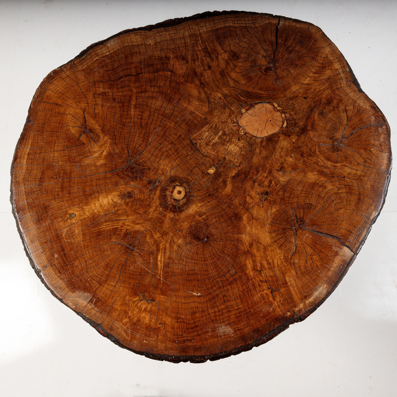 Tree Root Table