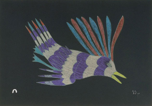 Kakulu Saggiaktok, CURIOUS BIRD, 2011