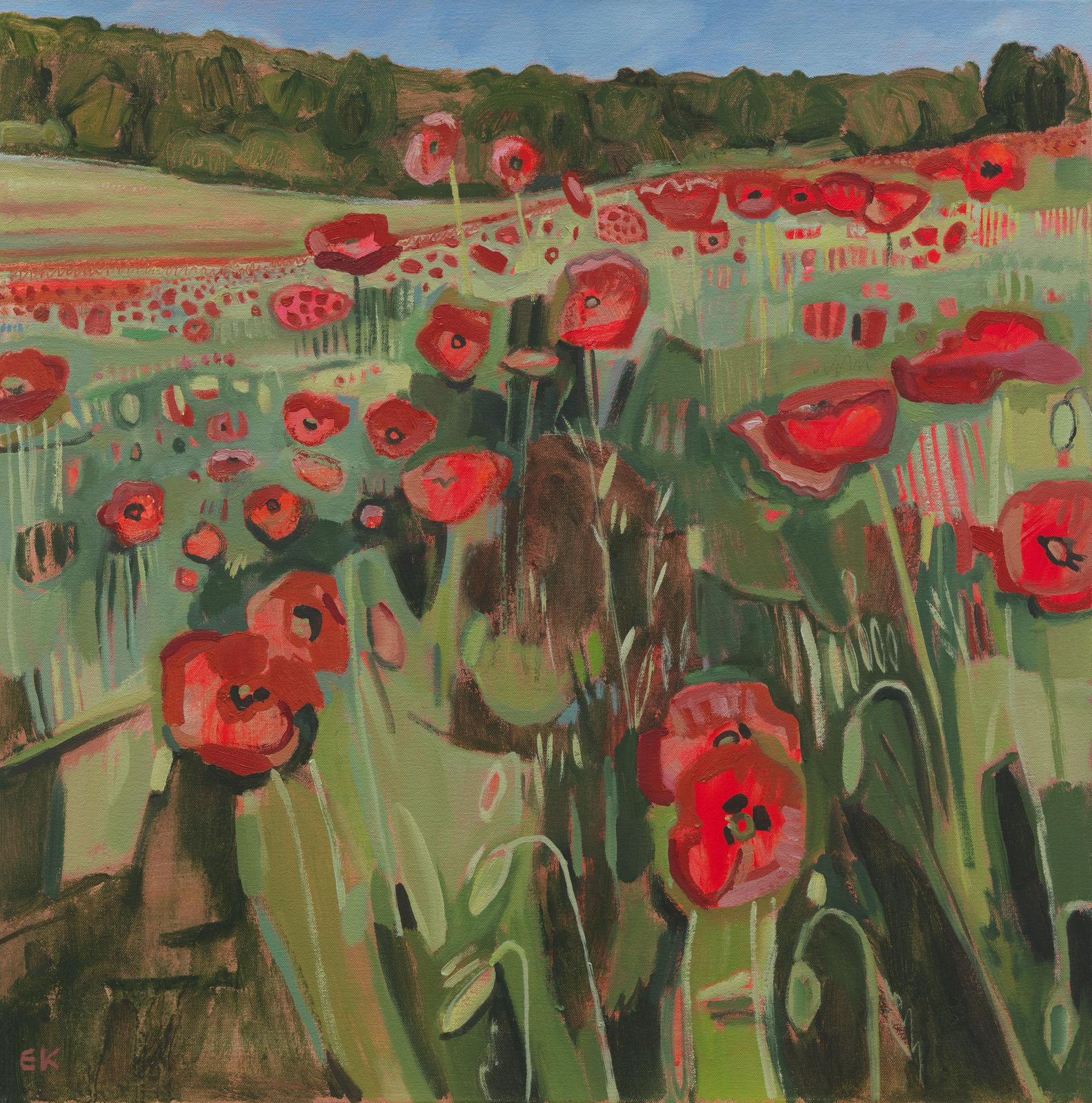 Ranscombe Farm Poppies