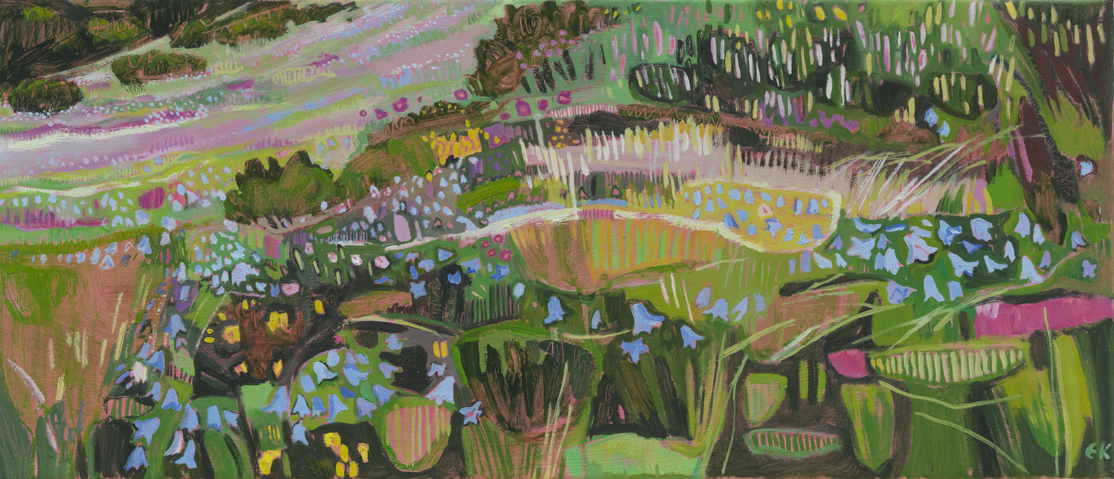 Harebells on Win Hill in the Peaks