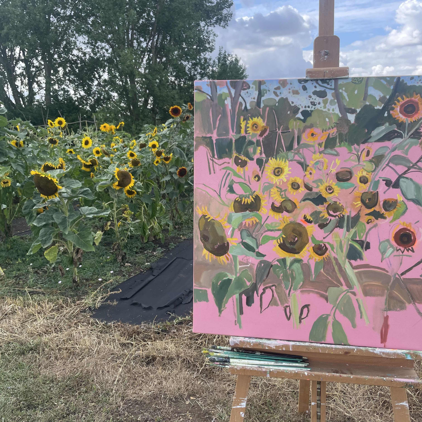 Elaine Kazimierczuk, Charlbury Sunflowers 2, 2025