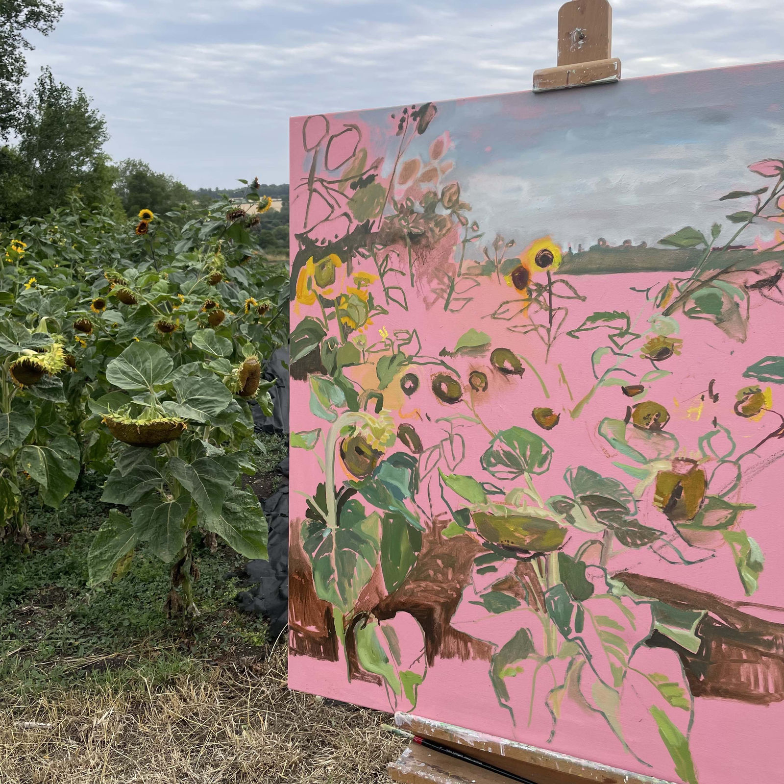 Elaine Kazimierczuk, Charlbury Sunflowers 1, 2025