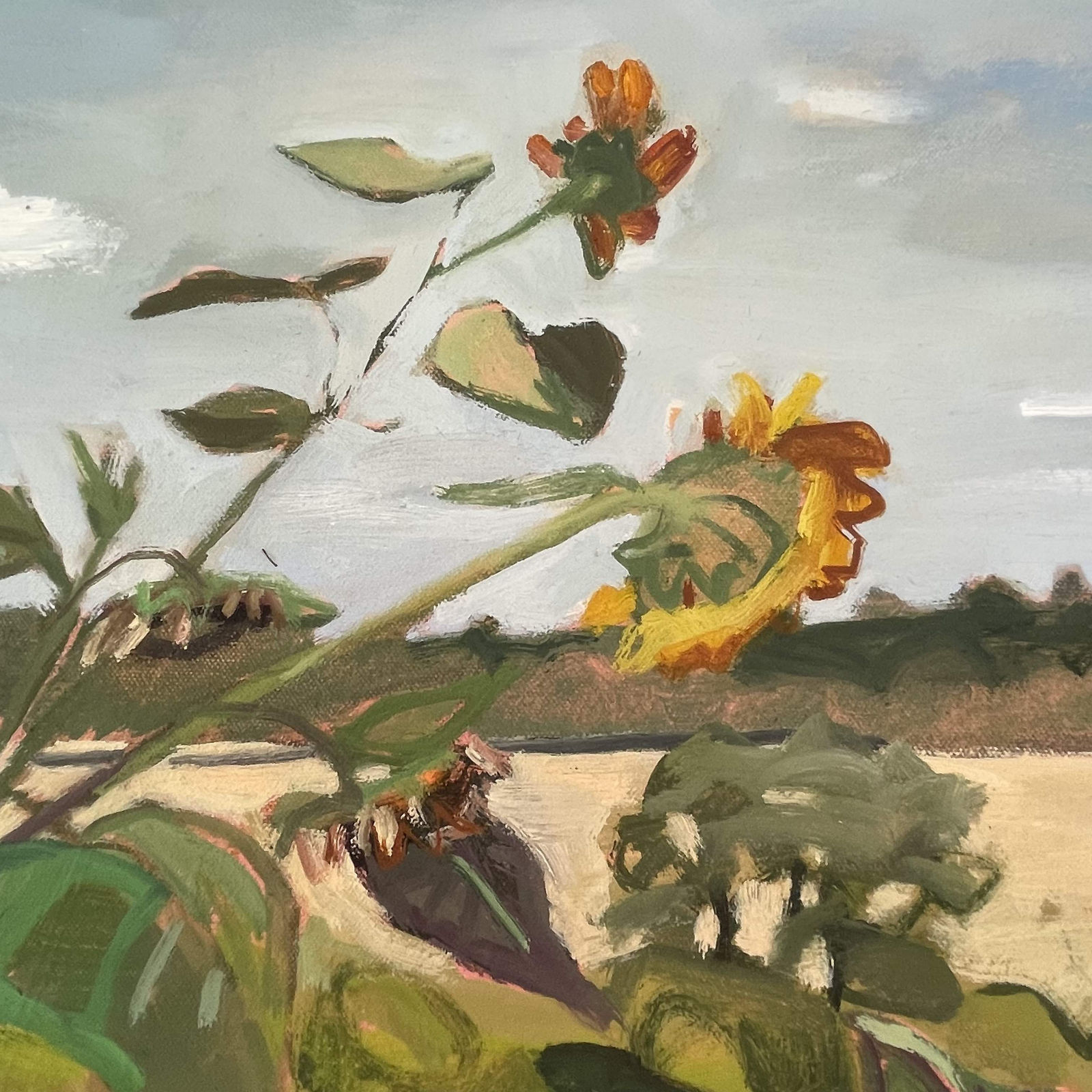 Elaine Kazimierczuk, Charlbury Sunflowers 1, 2025