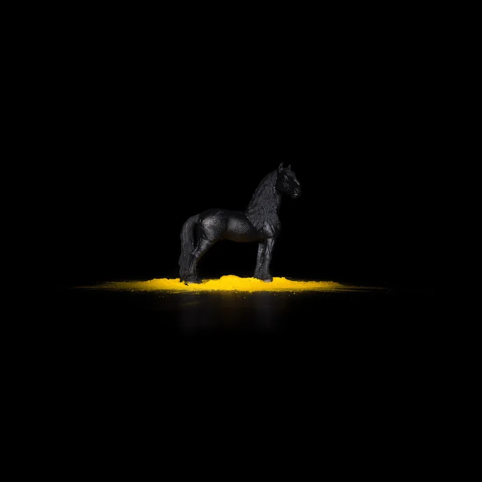 Piero Viti, BESTIARIUM MINIMUM BLACK HORSE, 2018