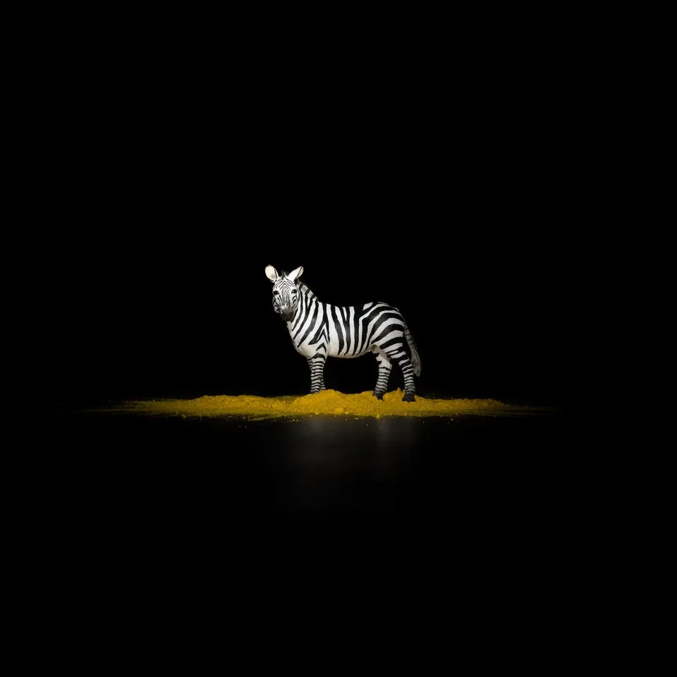 Piero Viti, BESTIARIUM MINIMUM ZEBRA, 2018