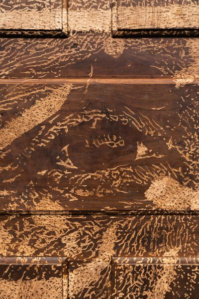 Alexandre Farto aka Vhils, Inlay series #02, 2025