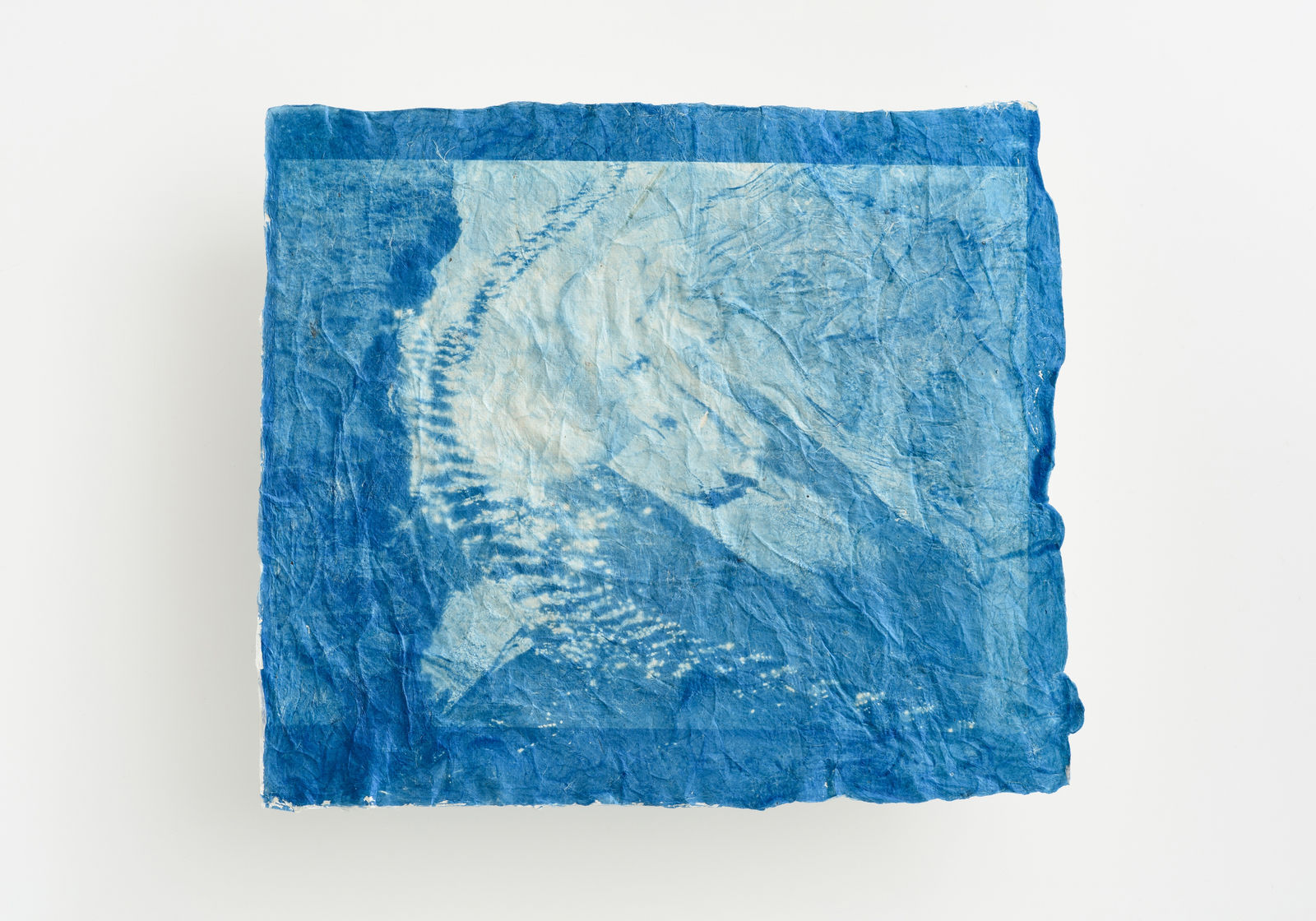 堀江 美佳, The Lithe Backbone and Background (4/10), 2019