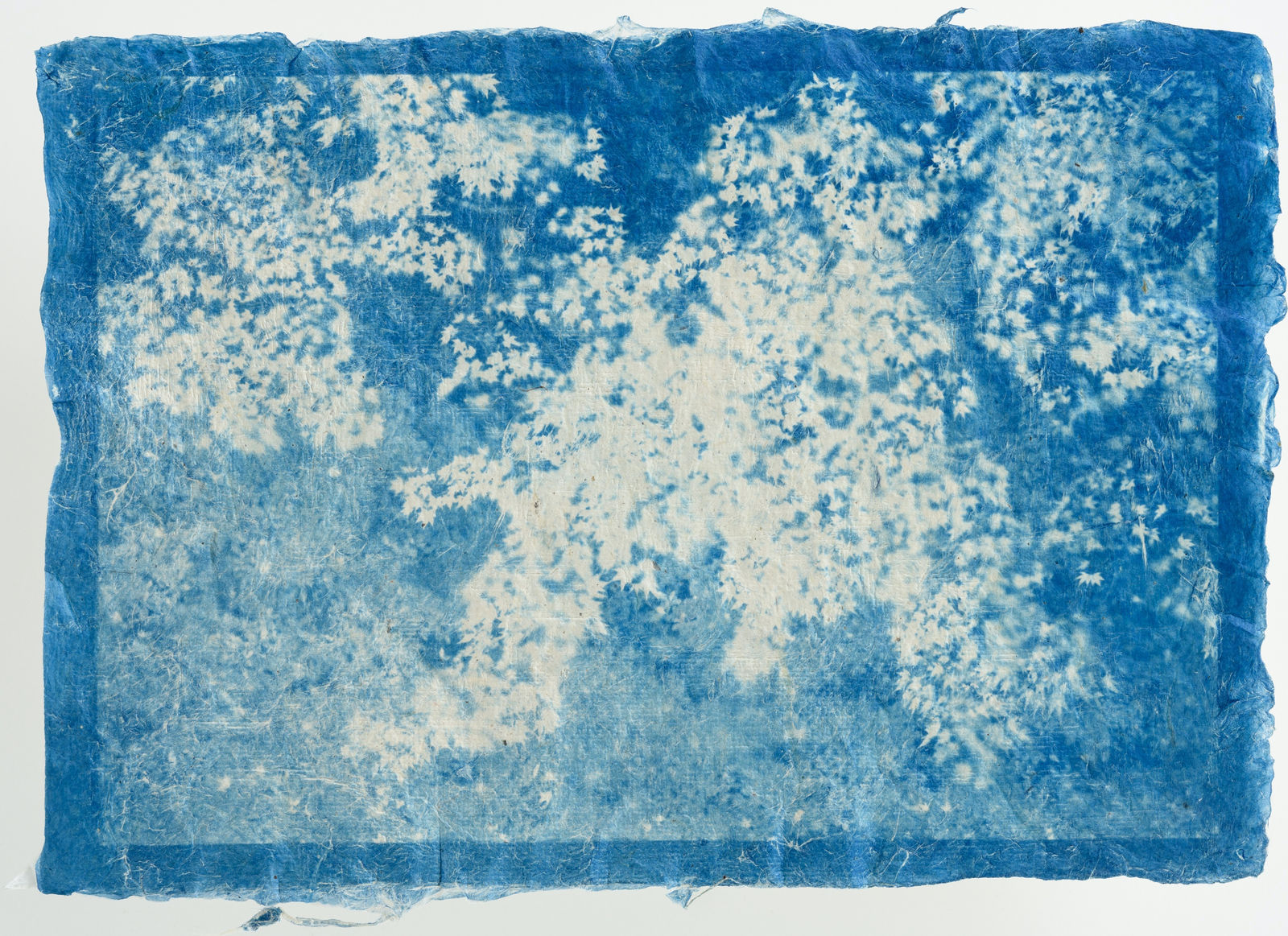 堀江 美佳, Little Autumn Leaves (8/10), 2021