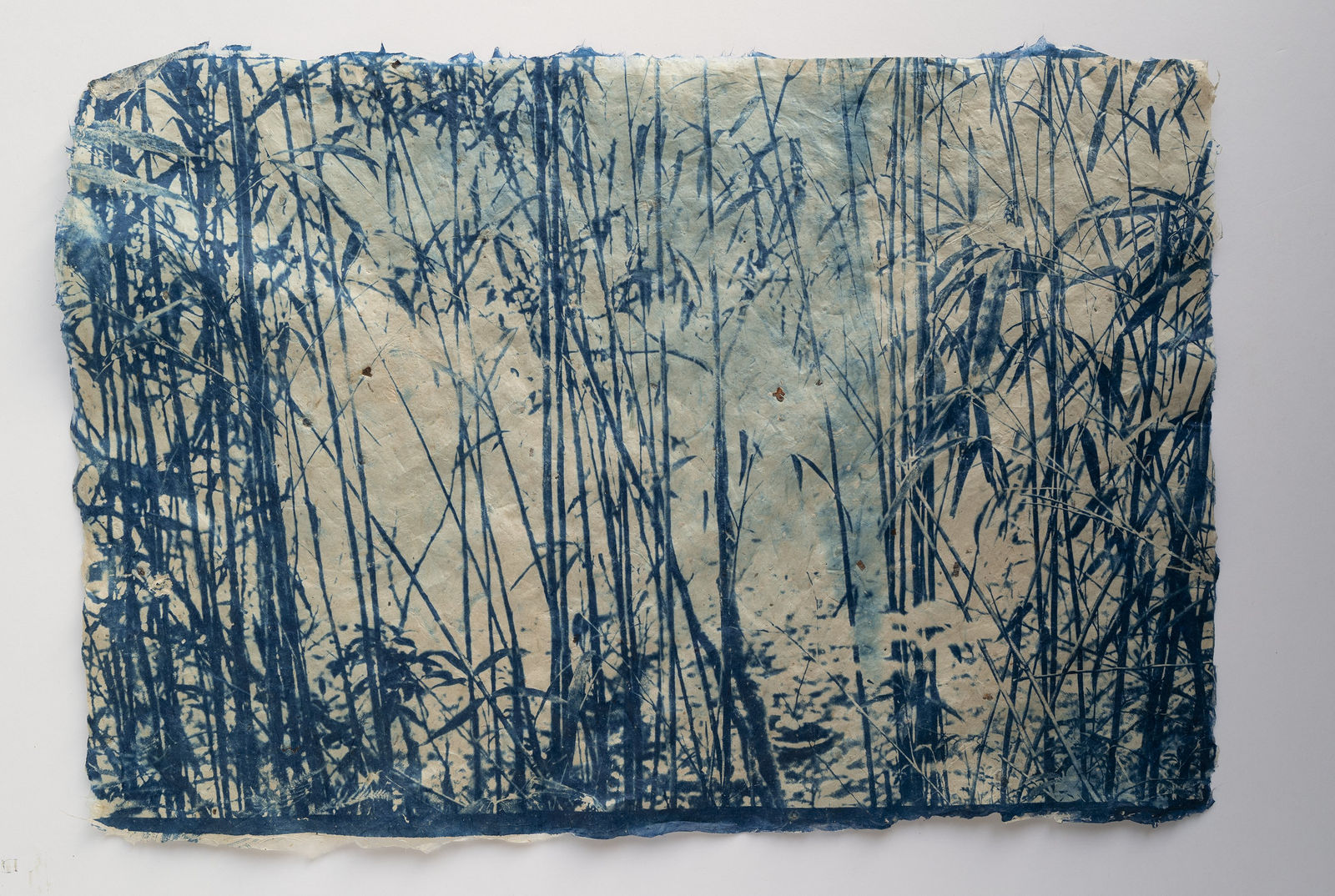 堀江 美佳, Fly Though the Bamboo Grasses (1/10), 2025