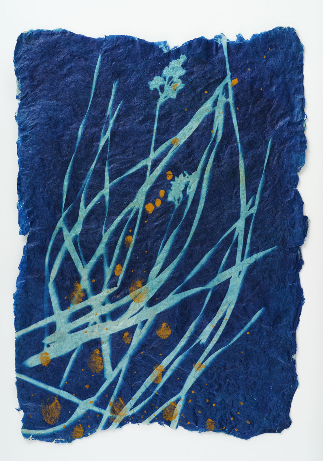 堀江 美佳, Uzu, 2023