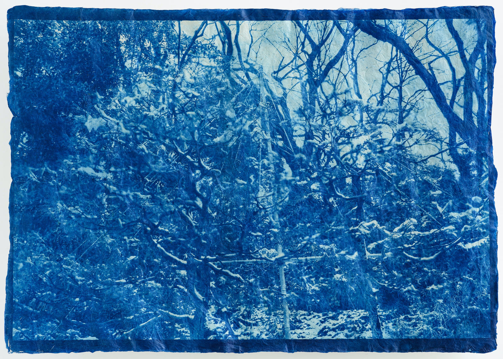 堀江 美佳, Yukitsuri II (4/10), 2020