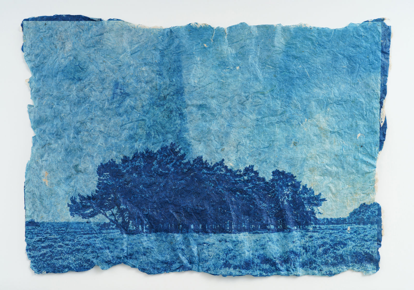 堀江 美佳, This is how pine trees and dinosaurs were born (7/10), 2023