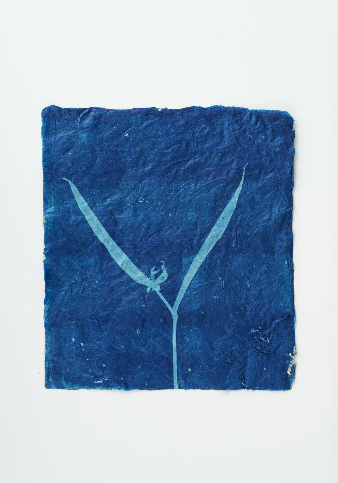 堀江 美佳, Time Ticked by the Flowers, 2023