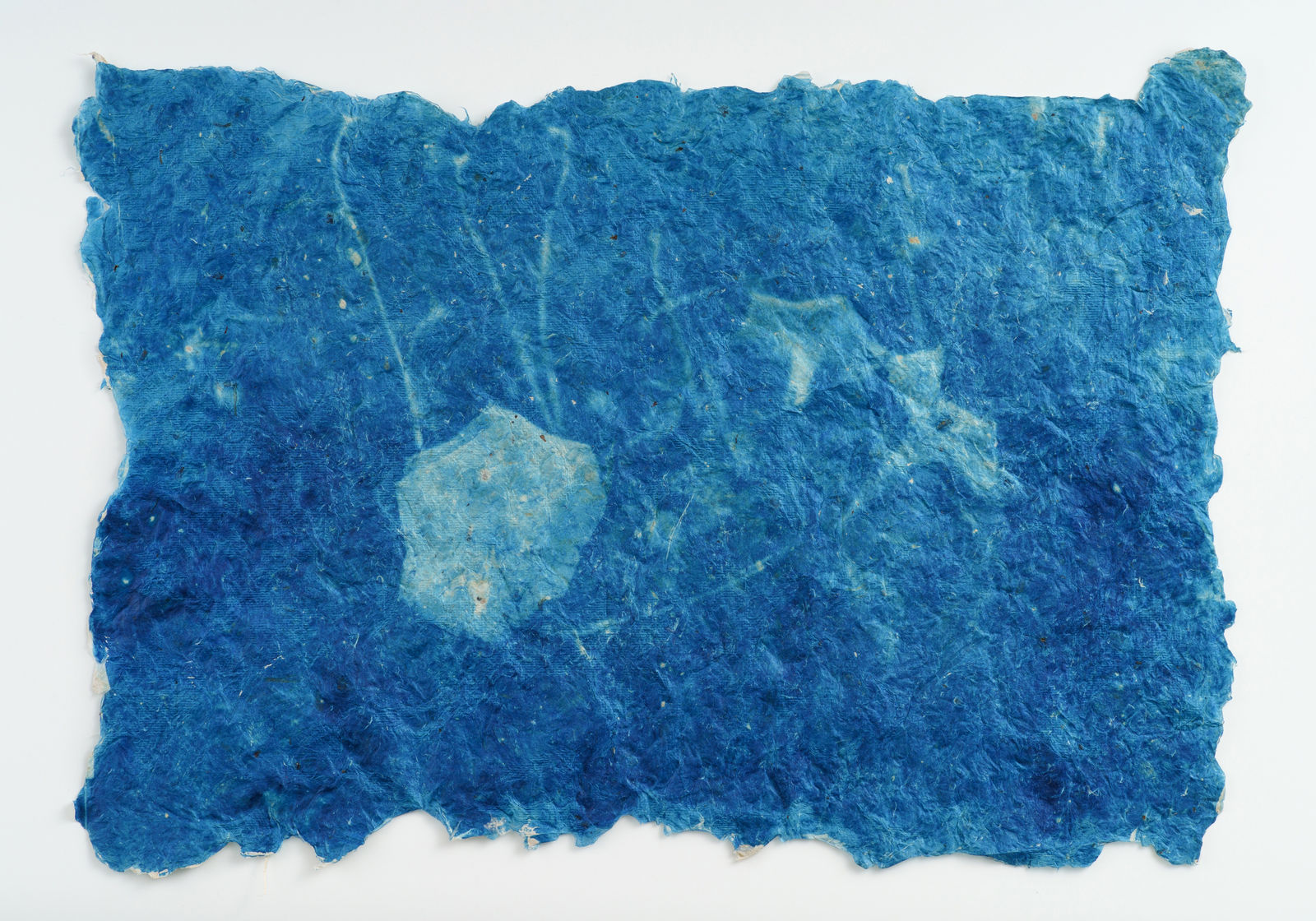 堀江 美佳, The Glory of Vines and Flowers (1/10), 2023