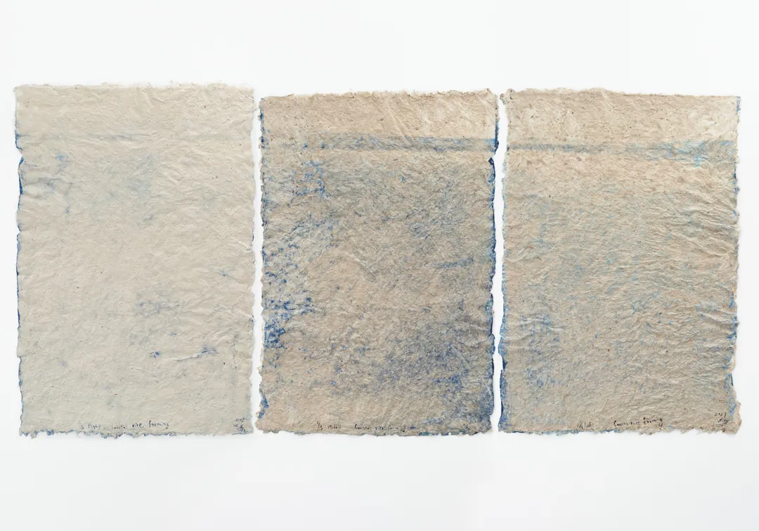 堀江 美佳, Coastal Rice farming (1/3), 2025