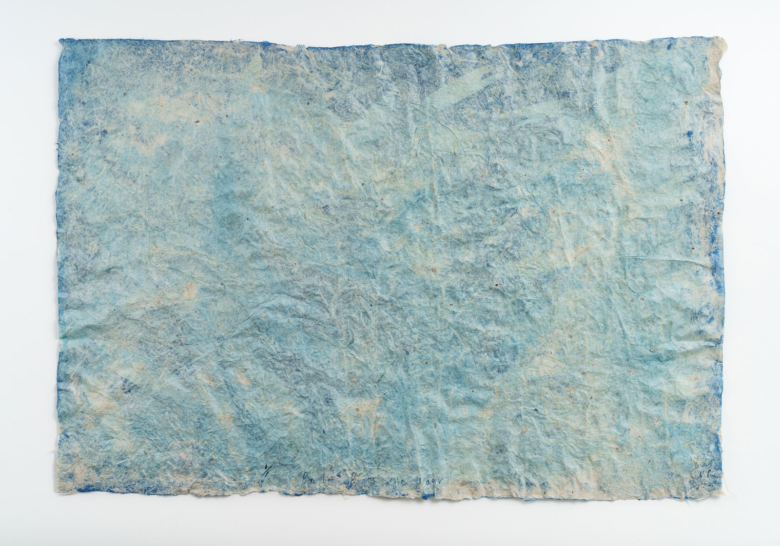 堀江 美佳, Bamboo boats in the Water _1, 2023