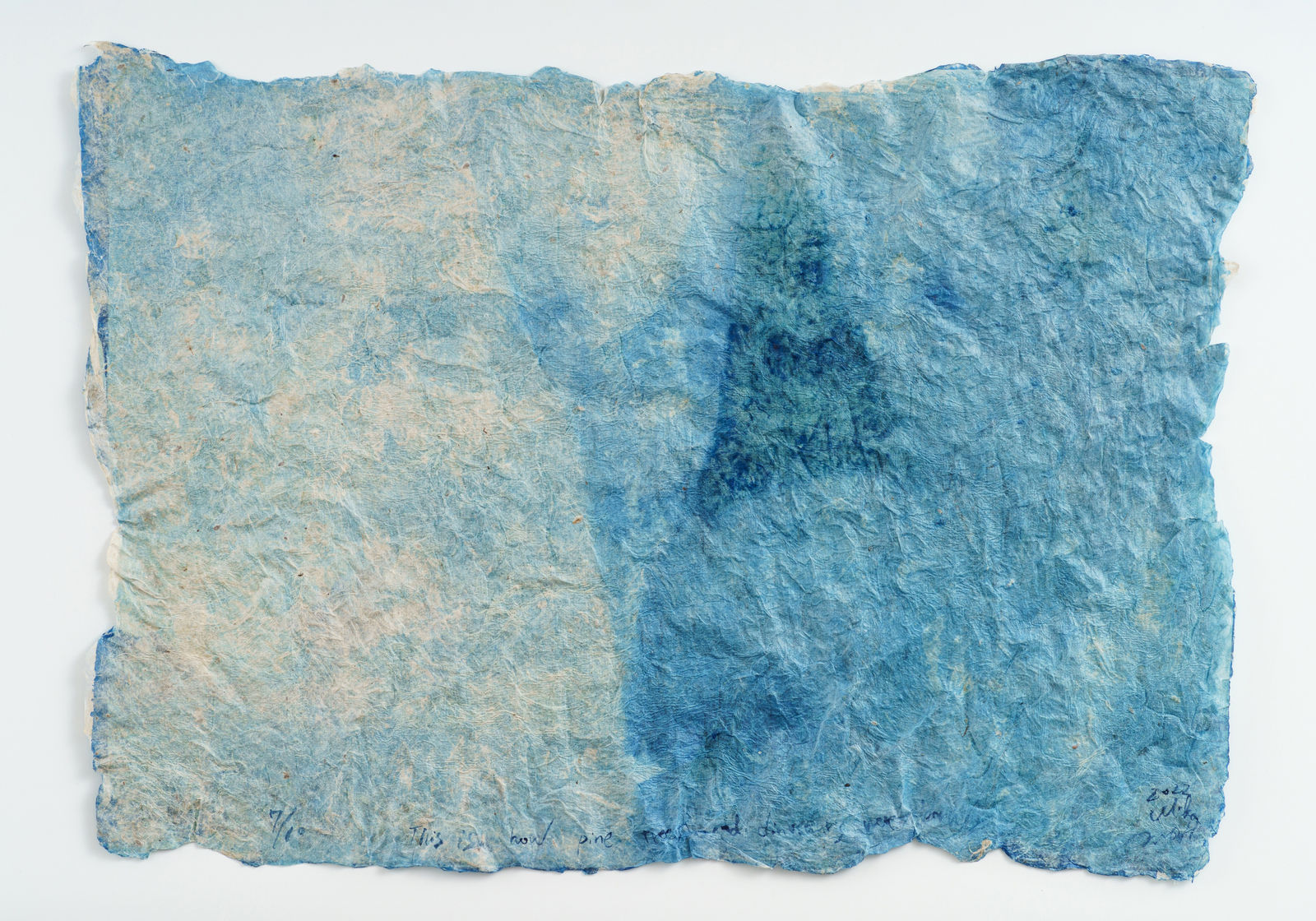 堀江 美佳, This is how pine trees and dinosaurs were born (7/10), 2023