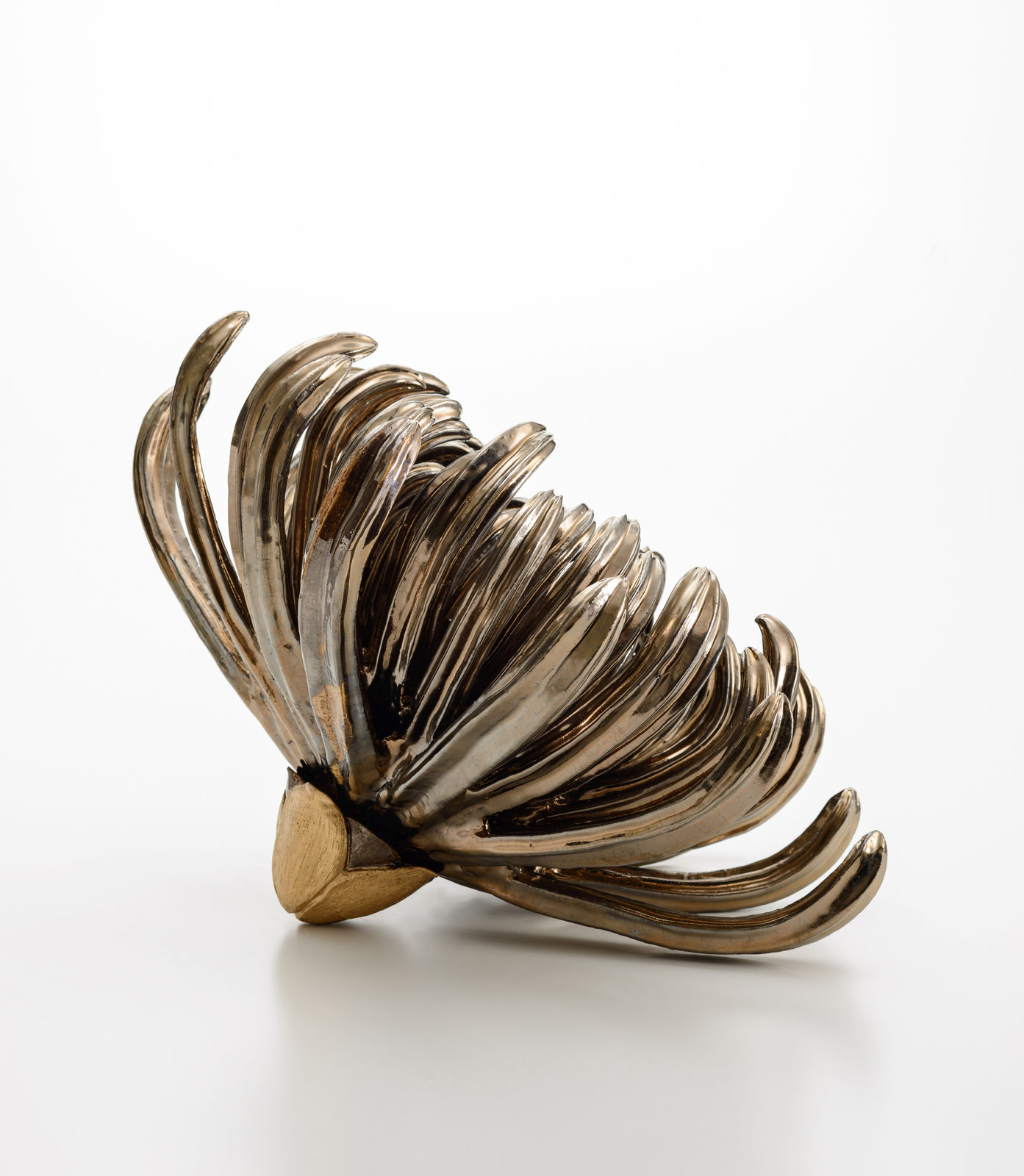 田中 陽子, 陰逸華, 2020