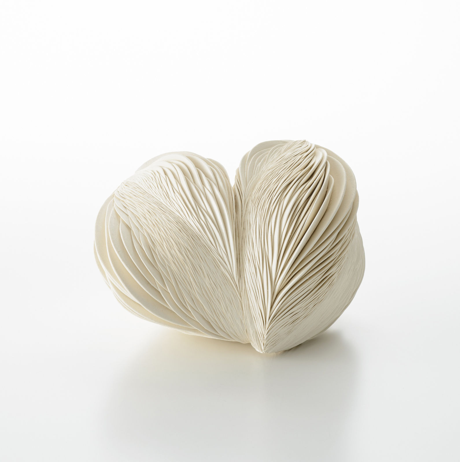 田中 知美　, 双頭, 2019