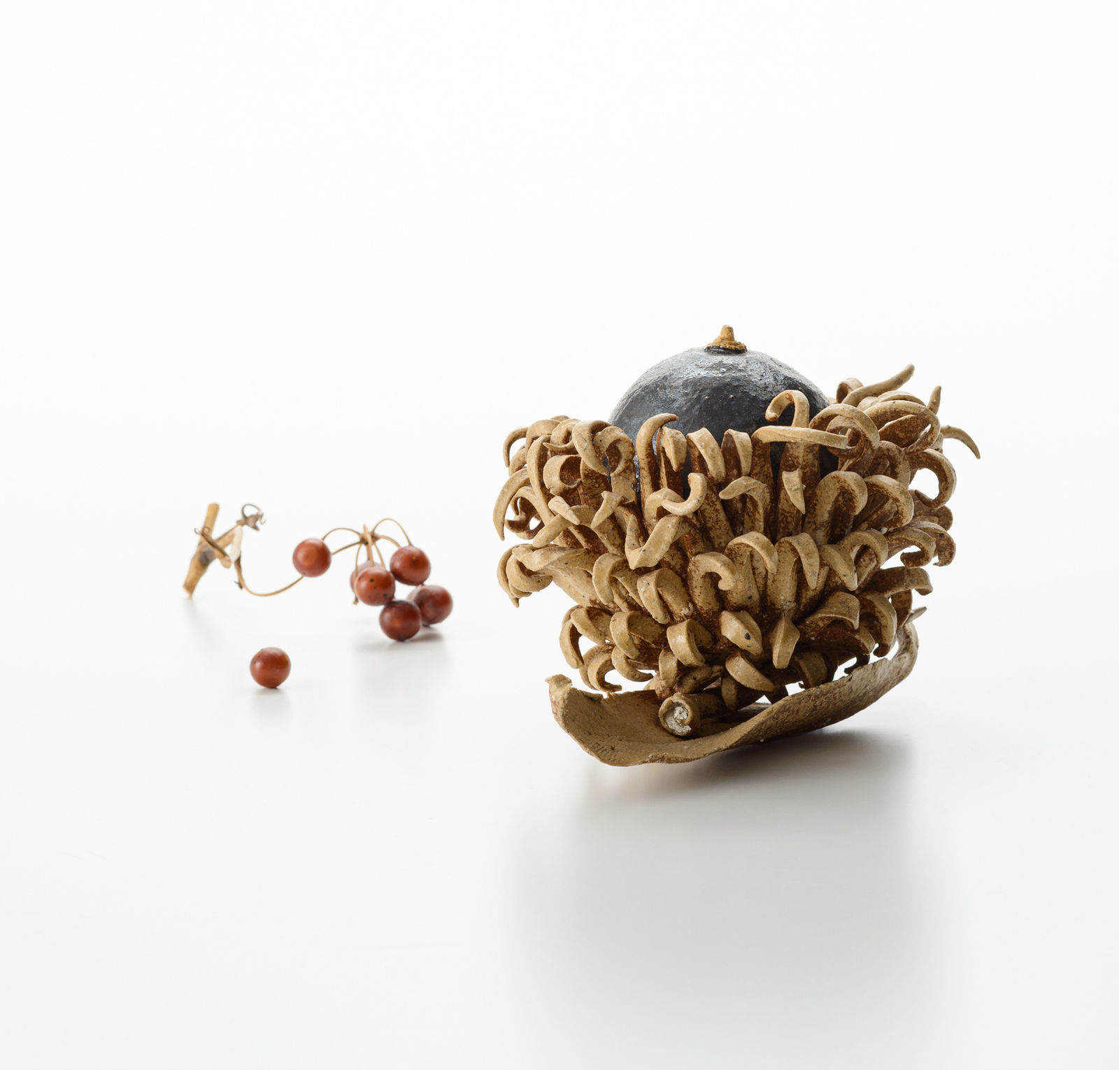 杉浦 康益, クヌギの団栗, 2013