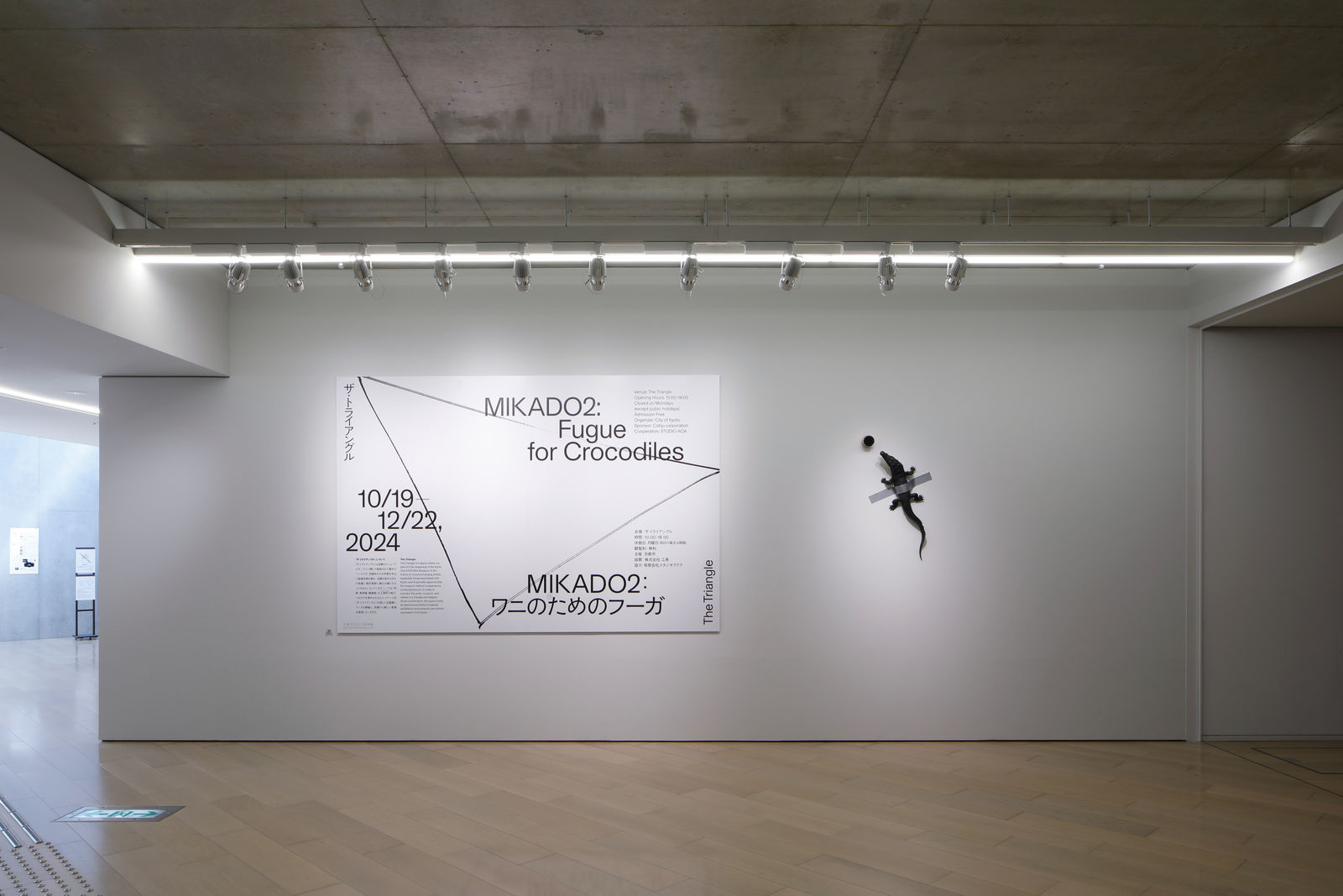 「MIKADO2:ワニのためのフーガ」展示風景。写真：来田 猛, 画像提供：京都市京セラ美術館 Installation Views of 'MIKADO2: Fugue for Crocodiles'. Photo by Takeru Koroda, courtesy of Kyoto City KYOCERA Museum of Art