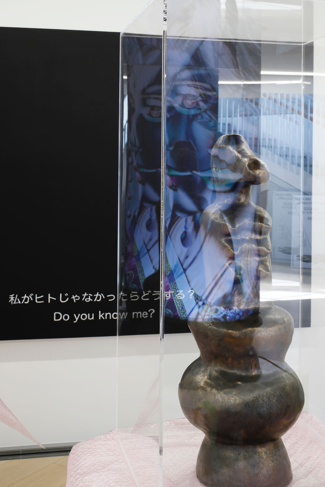 「MIKADO2:ワニのためのフーガ」展示風景、写真：来田 猛, 画像提供：京都市京セラ美術館 Installation Views of 'MIKADO2: Fugue for Crocodiles'. Photo by Takeru Koroda, courtesy of Kyoto City KYOCERA Museum of Art