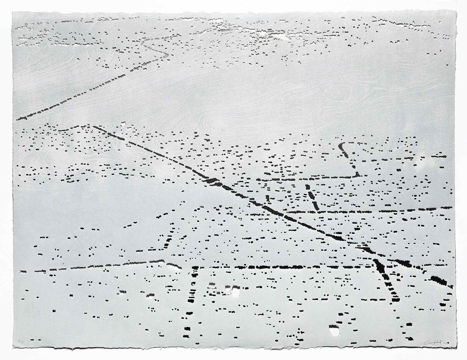 Susan Goethel Campbell, Lost City No. 5, 2020