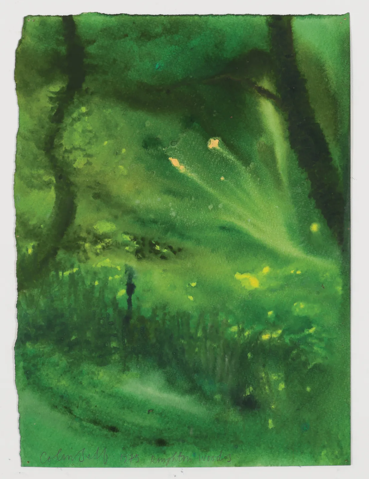 Colin Self, Roughton Woods, 1975