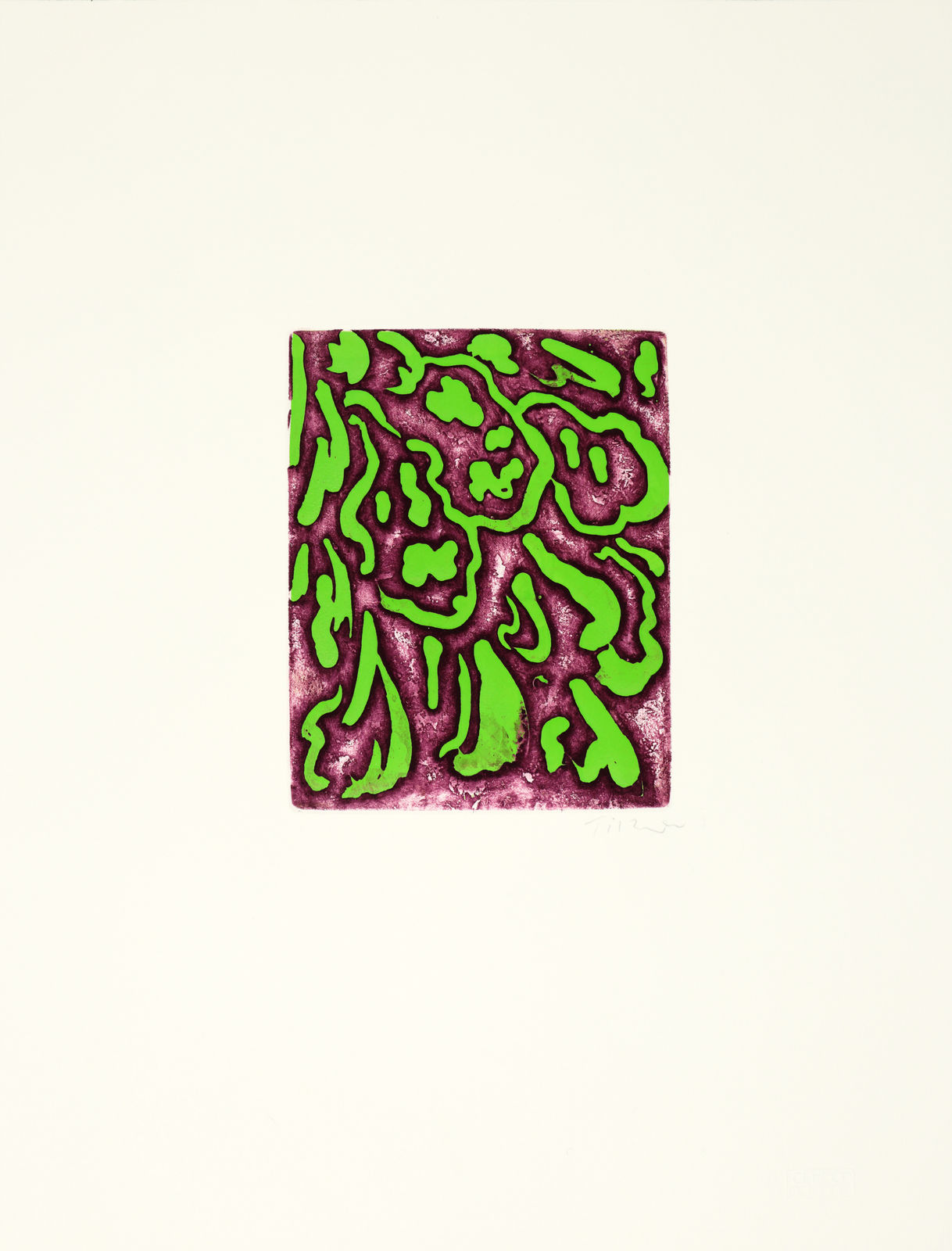 William Tillyer, 'real flowers that mimicked artificial ones' - 'unquestionably, as matters stand today the only true artists are the horticulturalists.', 1974/2018