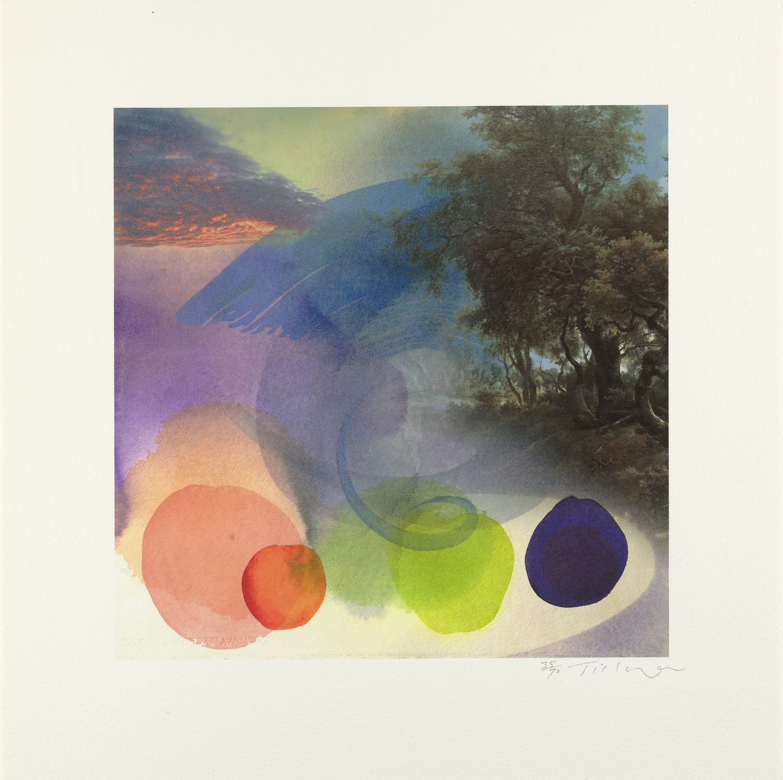 William Tillyer, Hambleton - Zephyr, 2019