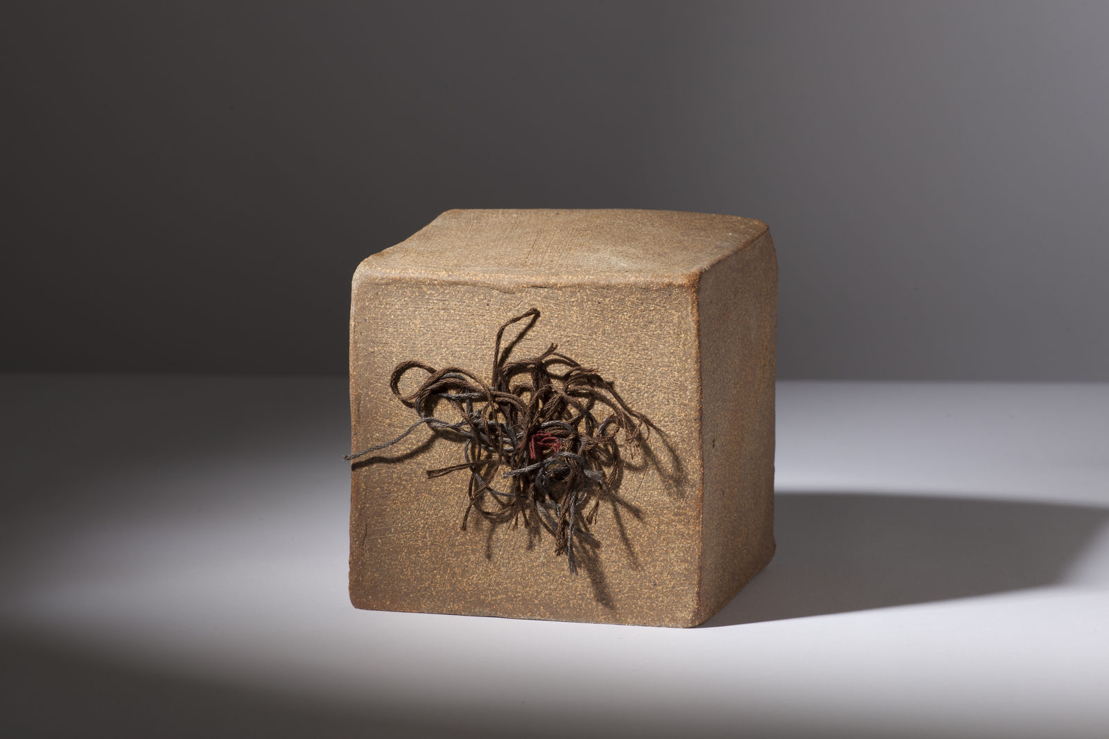 Toni Ross, Untitled (1090), 2011