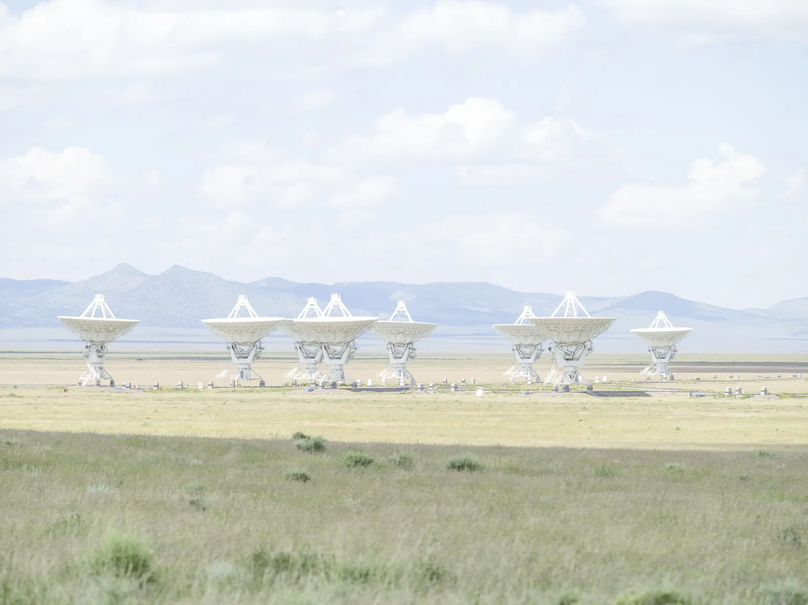 Andrea Orejarena & Caleb Stein , Very Large Array, 2021