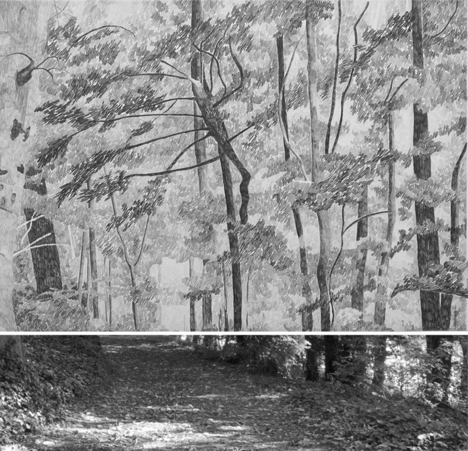 Albergaria, Gabriela