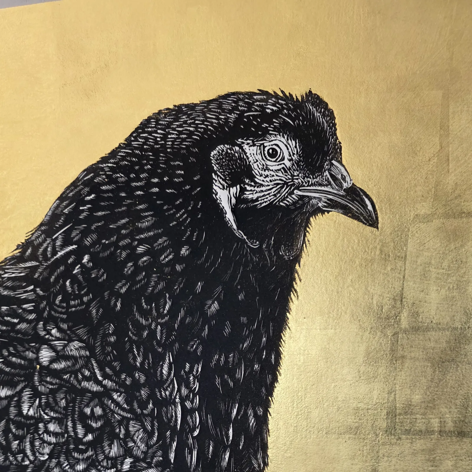 Chook (with Pure 24CT Gold) , 2026