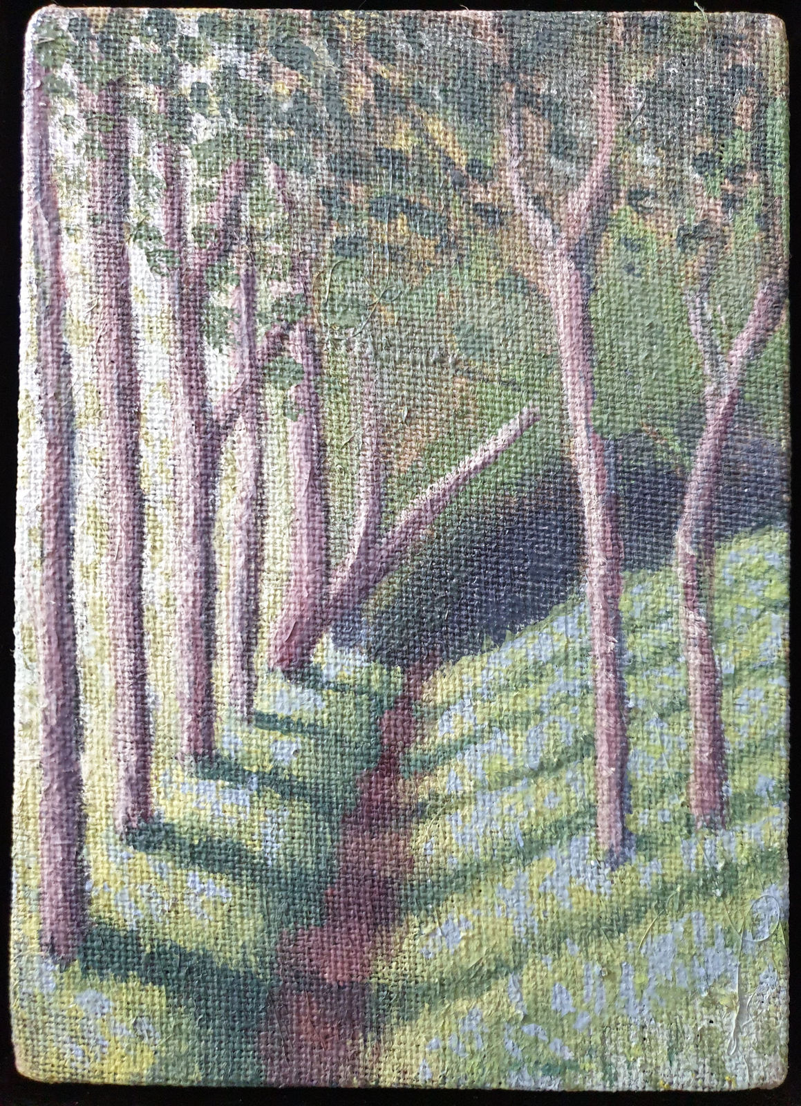 Kit Glaisyer, Mini Lewesdon into darkness 132x18