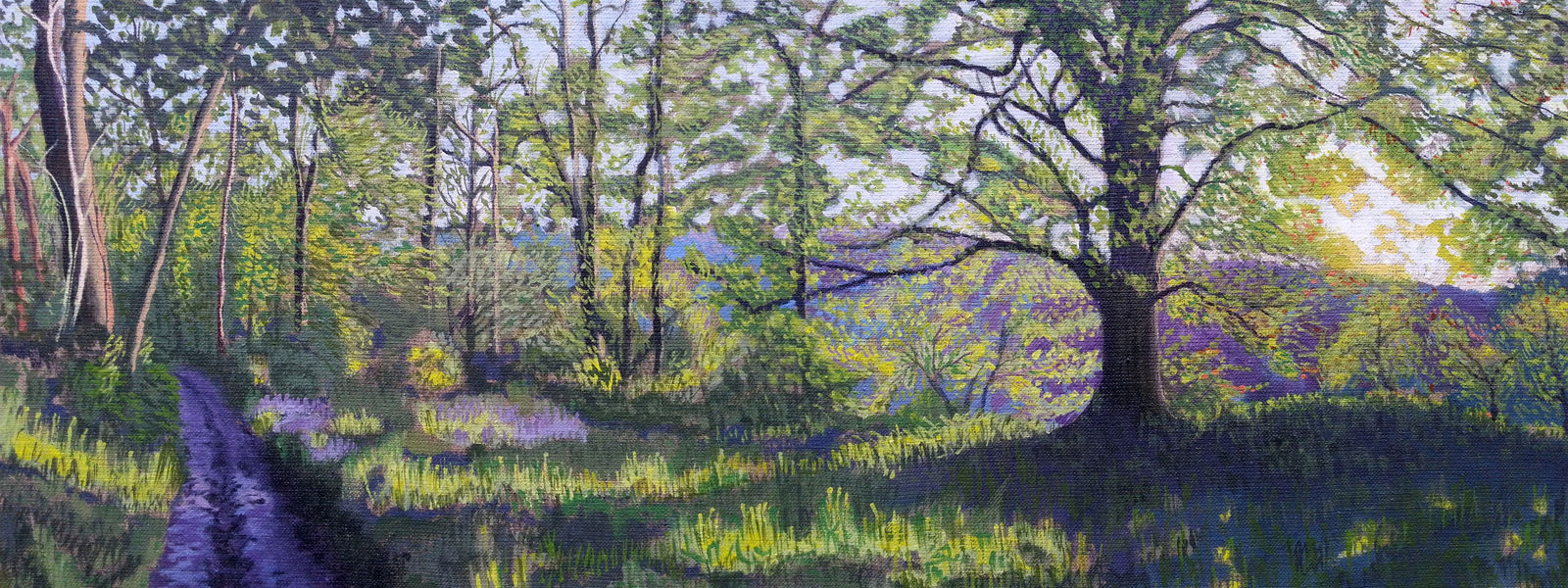Kit Glaisyer, Bluebell Path up Lewesdon Hill, West Dorset, 2012